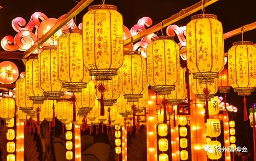 《新闻联播》聚焦全国年味,枣林湾园博园c位出道!